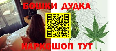 индика Партизанск