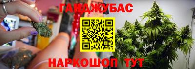 индика Партизанск
