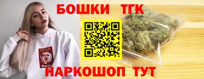 индика Партизанск