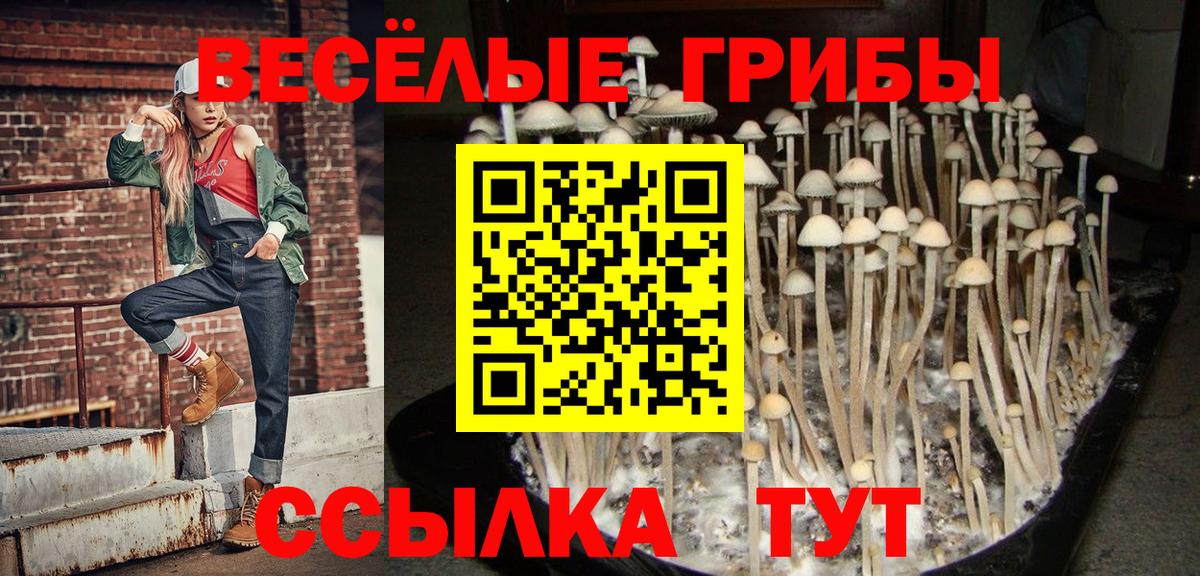 Чебоксары  Псилоцибиновые грибы MAGIC MUSHROOMS  Галлюциногенные грибы MAGIC MUSHROOMS  Вход с VPN 