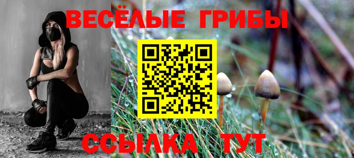 Псилоцибиновые грибы прущие грибы Чебоксары