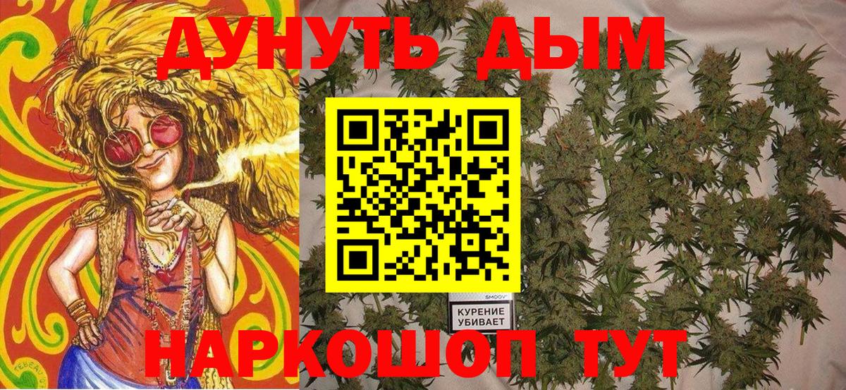 Чебоксары  Марихуана план  Конопля SATIVA & INDICA  Вход с VPN  Бошки марихуана SATIVA & INDICA 